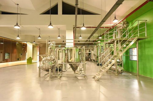 游弋在有形與無(wú)形之間 麗江田園橄欖油廠(chǎng)室內(nèi)設(shè)計(jì)