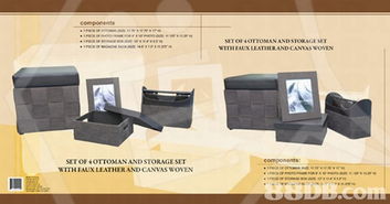 夏日創(chuàng)意風(fēng)暴 專業(yè)設(shè)計(jì)服務(wù)，平通全港的視覺盛宴